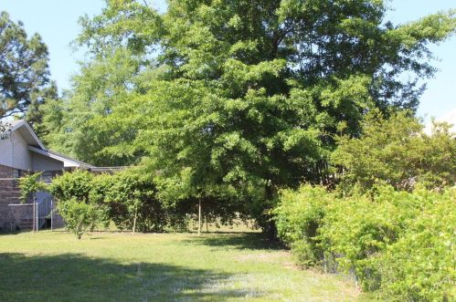 919 Pinewood Dr, Defuniak Springs FL 32433-4531 exterior