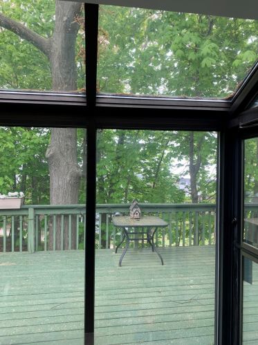 2167 Cottage Grv Ave, Meskegon MI 49441-1138 exterior