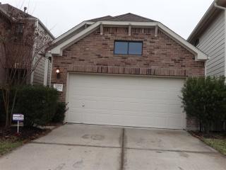29712 Buffalo Canyon Dr, Spring TX  77386-3454 exterior