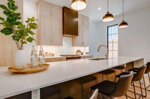 1218 Haines, Dallas TX 75208-4104 exterior