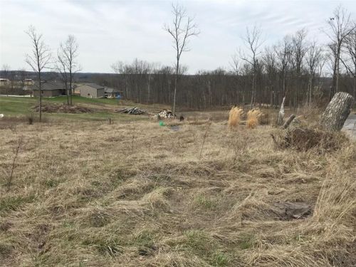 1776 Pcr 806, Perryville, MO 63775-7178