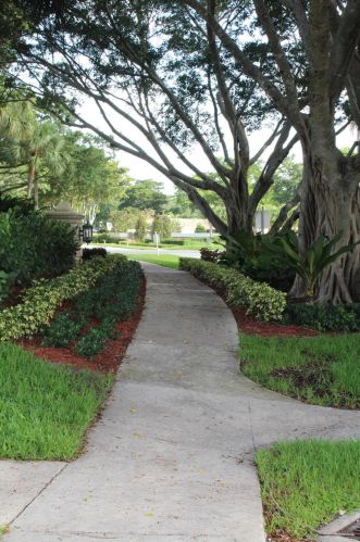 2414 30 Rd, Boca Raton FL 33431-6370 exterior