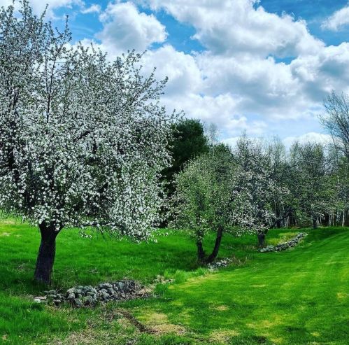 2 Asa Dr, Concord NH  03304-4012 exterior