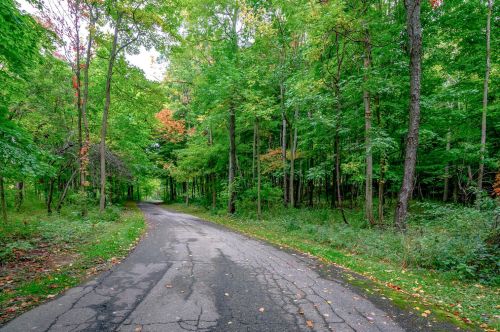 09222 23 1/2 St St, Gobles MI 49055-9253 exterior