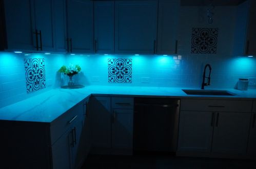 2837 Farrell St, Chicago IL 60608-5707 exterior