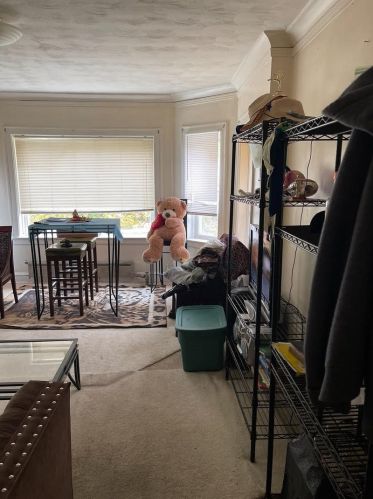 850 88 Pl, Chicago IL 60619-6908 exterior