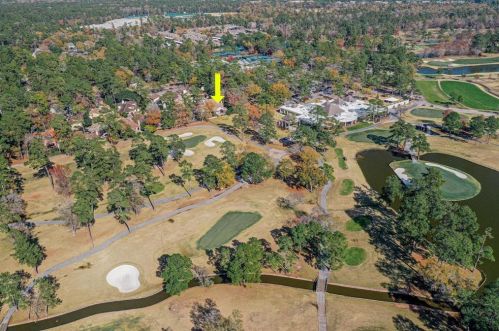 17 Kingwood Villas Ct, Humble TX 77339-3652 exterior