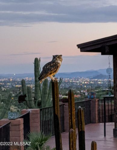 6822 Table Mtn Rd, Tucson AZ 85718-1328 exterior