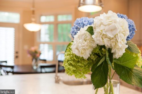 25 Masonic Vw Ave, Alexandria VA 22301-2203 exterior