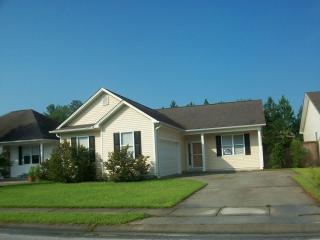 207 Sand Pebble Dr, Belville NC  28451-9536 exterior