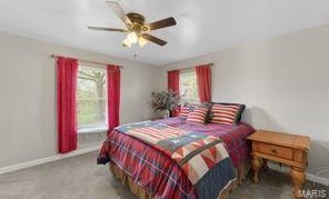 703 Holland Ave, Saint Louis MO 63119-1727 exterior