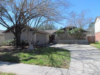 21303 Fernhollow Ln, Spring TX  77388-3828 exterior