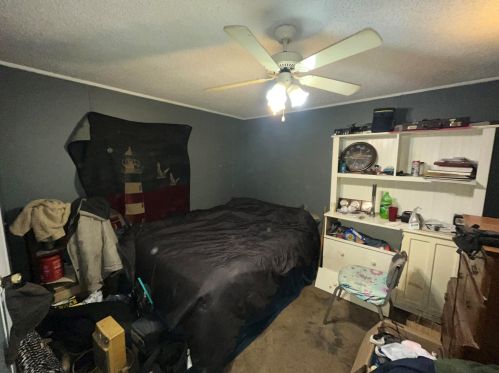 17280 Trenton Ave, Cedar Springs MI 49319-9678 exterior