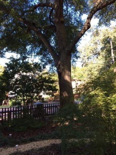 309 Atlanta Ave, Atlanta GA  30315-2005 exterior