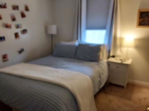 235 Dunseith St, Pittsburgh PA 15213-2505 exterior