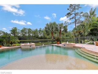 29011 Amarone Ct, Naples, FL 34110-2772