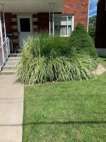 7205 Mcclure Ave, Pittsburgh PA  15218-2307 exterior