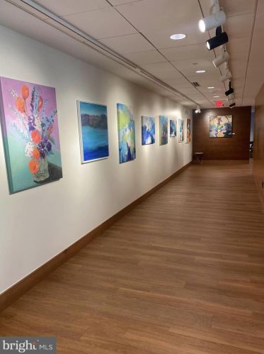 5904 Mount Eagle Dr, Alexandria VA  22303-2534 exterior