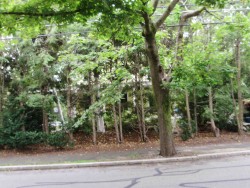 70 Auburn St, Newton, MA 02466-2502