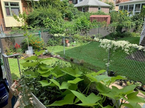 7205 Mcclure Ave, Pittsburgh PA  15218-2307 exterior