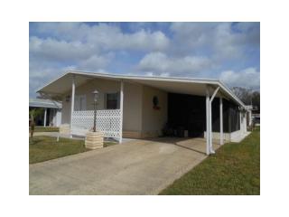 36037 Coleus Ave, Zephyrhills FL  33541-0737 exterior