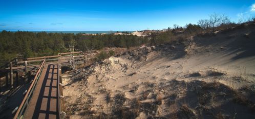 665 Shelby St, Gary IN 46403-2254 exterior