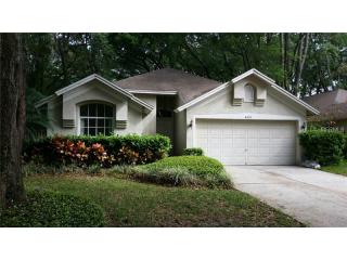 4519 Hidden Shadow Dr, Tampa FL  33614-1467 exterior
