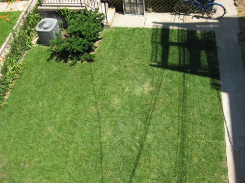 1535 Leavitt St, Chicago IL  60622-1820 exterior