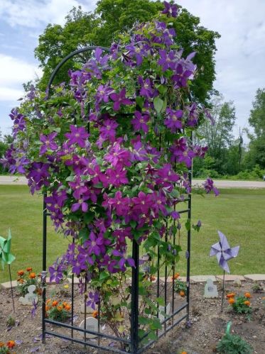 11470 Bluewater Hwy, Lowell MI 49331-9220 exterior