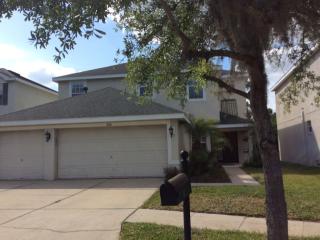 9218 Oak Pride Ct, Tampa FL  33647-3363 exterior