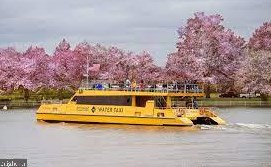 925 Fairfax St, Alexandria VA 22314-4313 exterior