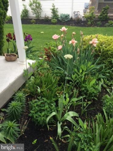 50 Steeplechase Cir, Chester PA 19014-1463 exterior