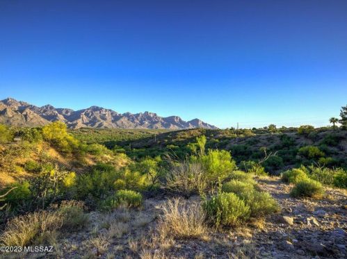 15259 Lago Del Oro Pkwy, Tucson AZ 85739-9621 exterior