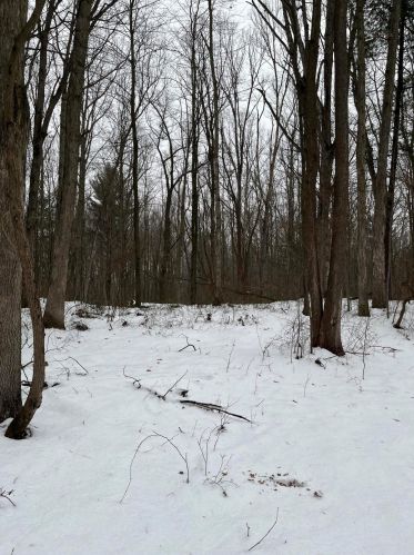 1120 37th St, Allegan MI 49010-8308 exterior