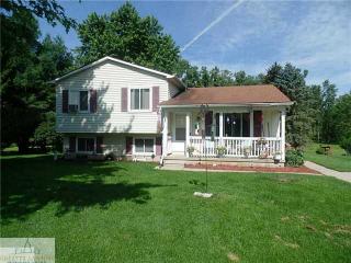 13178 Heather Ln, Perry, MI 48872-9120