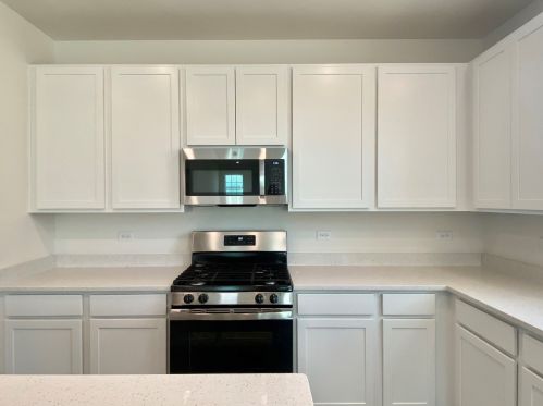 1319 Morgana Dr, Joliet IL 60431-8042 exterior