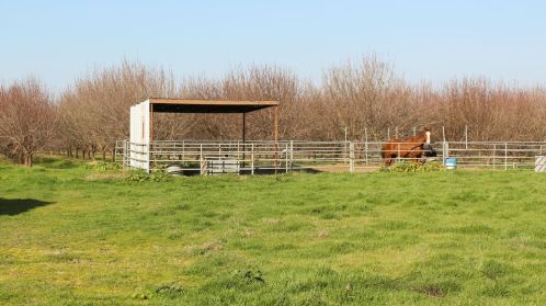 2007 Glenwood Ave, Turlock CA 95380-6237 exterior