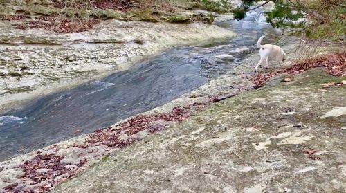 1600 1st St, Austin TX 78704-3047 exterior