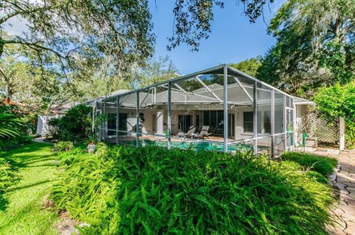 11506 Louvre Pl, Tampa FL 33617-2447 exterior