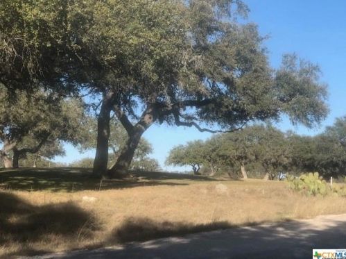 376 Fawn Dr, Spring Branch TX 78070-4704 exterior