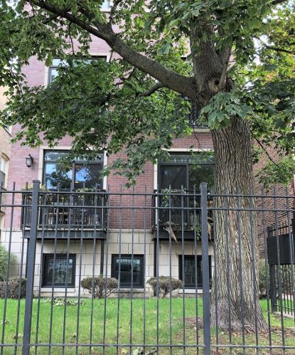 6365 Ingleside Ave, Chicago, IL 60637-3674