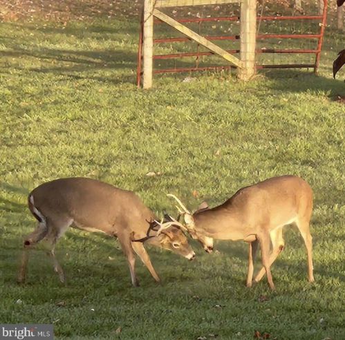 262 Lk Rd, Pilesgrove NJ 08098-3008 exterior