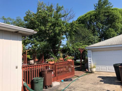 8264 Winona St, Chicago, IL 60706-3048