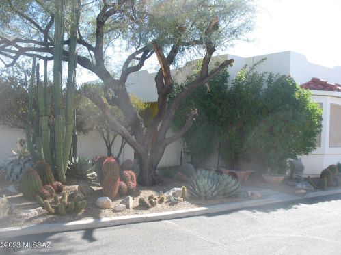 6140 Red Sky Cir, Tucson, AZ 85713-4366