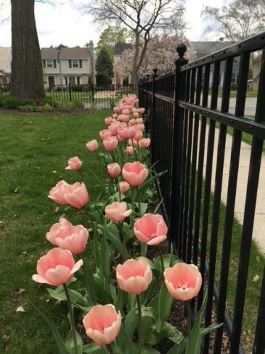 301 Carlisle Ave, Milwaukee WI 53217-4826 exterior