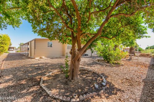 9010 Olive Ln, Chandler AZ  85248-6404 exterior