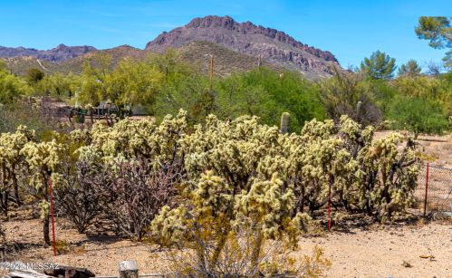 4105 Hogan Dr, Tucson AZ 85735-1809 exterior