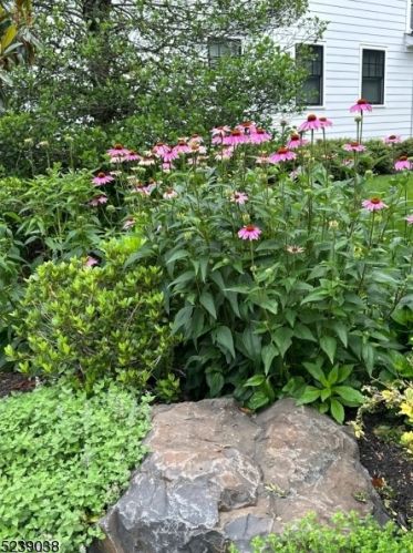 1019 Smt Ave, Westfield NJ 07090-3221 exterior