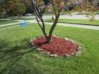 11757 Eileen, Detroit MI  48239-2530 exterior