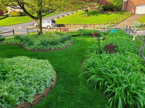 1650 Arnold St, Pittsburgh PA 15205-3503 exterior